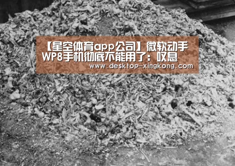 星空体育app公司